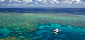 great barrier reef snorkeling tours port douglas
