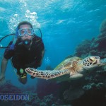 introductory dive with turtle