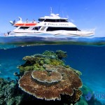 underwater surface photo reef
