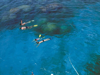 snorkelling on the great barrier reef