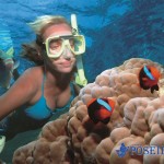 snorkelling with clowfish